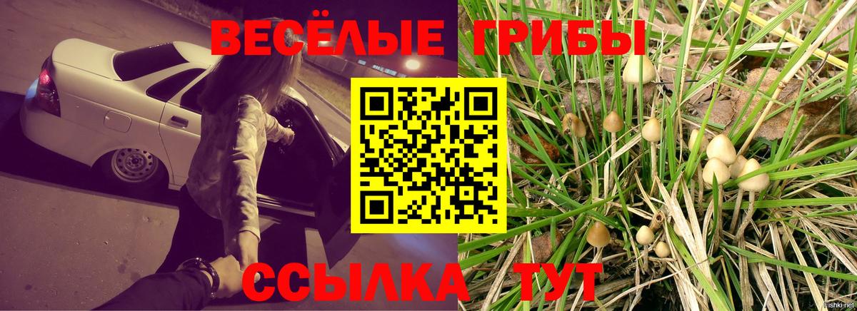 Усть-Илимск  Галлюциногенные грибы Psilocybe  Вход с VPN 